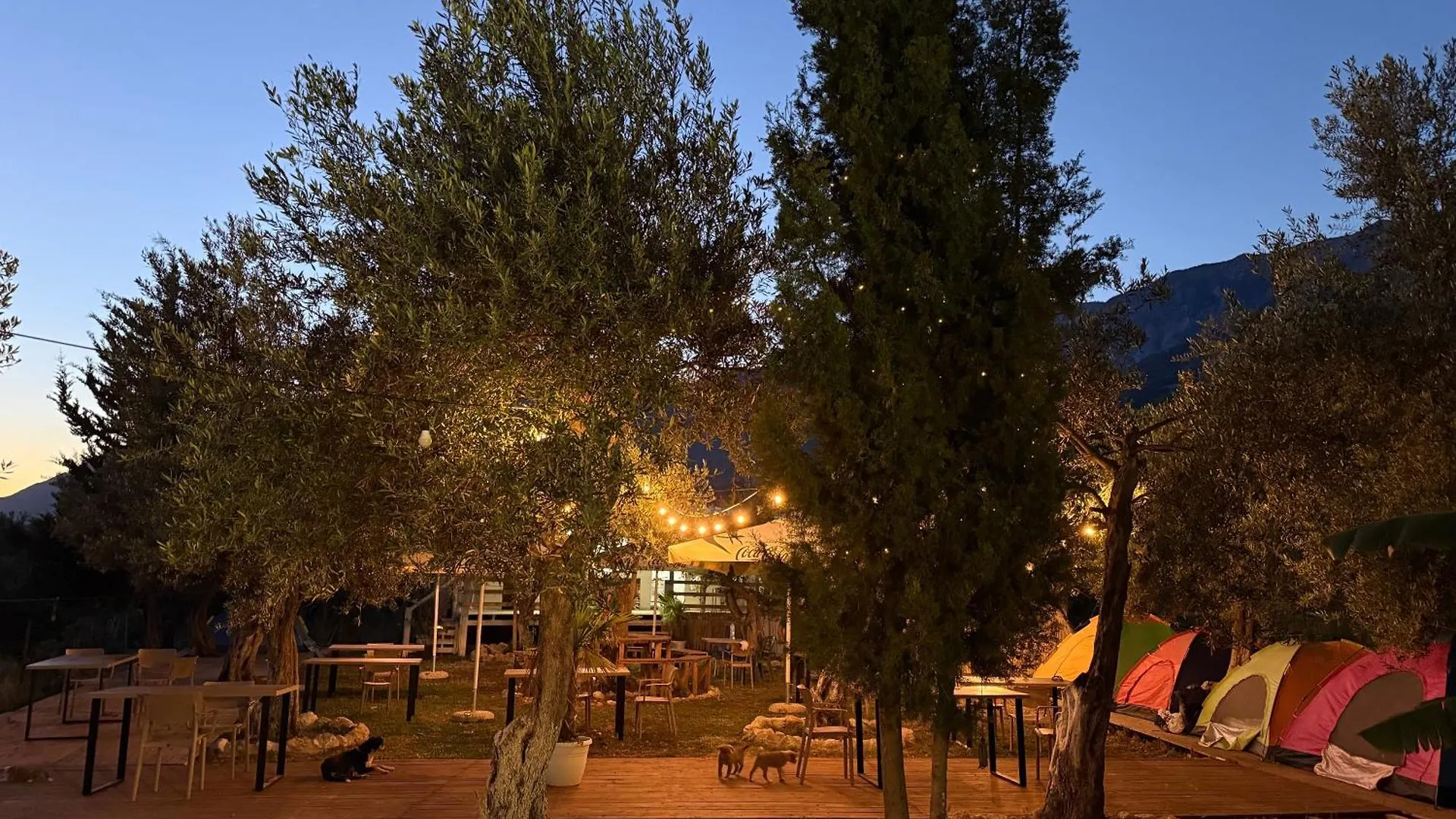 Oasis Camping Dhërmi
