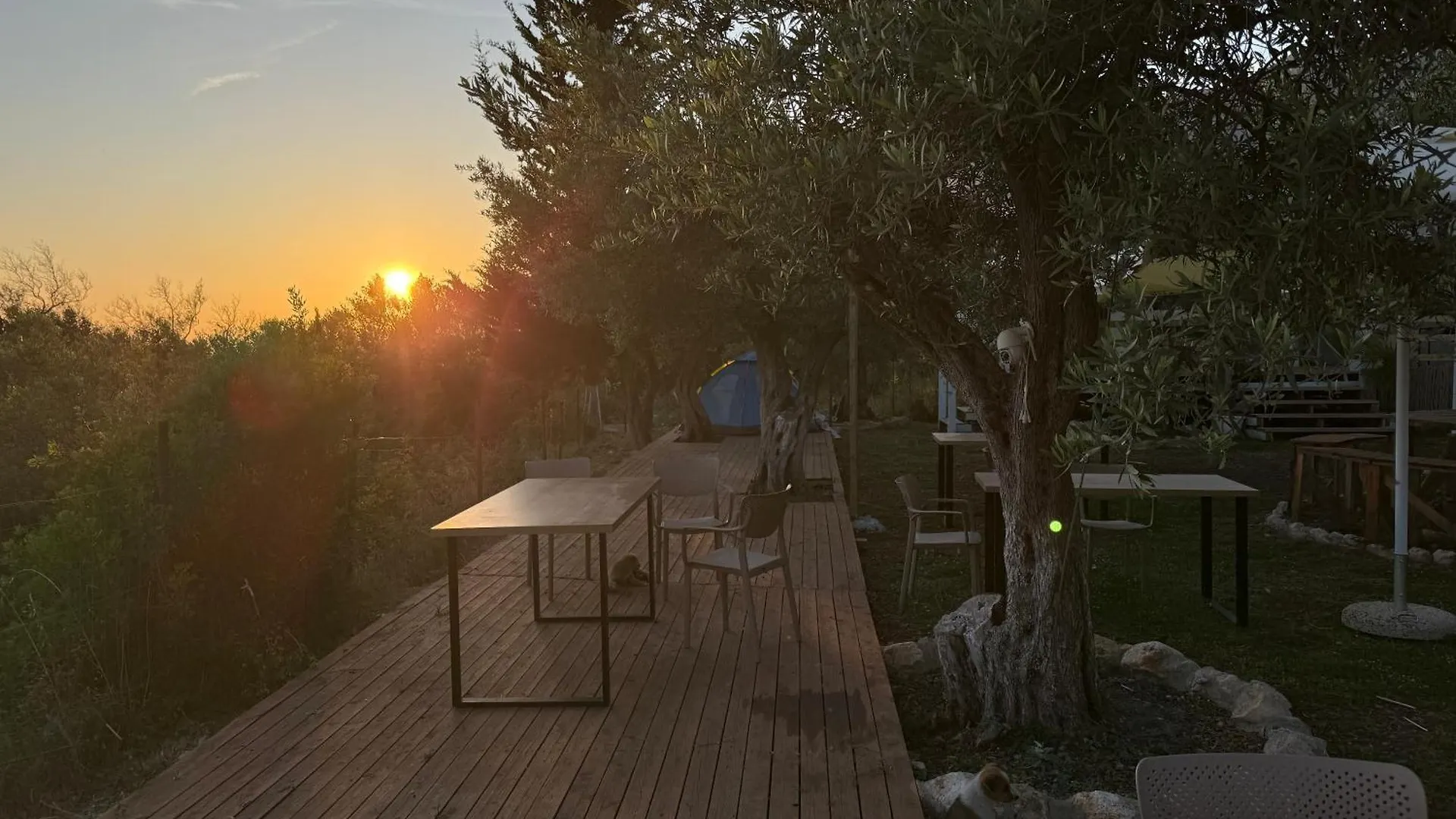 Oasis Camping Dhërmi Tente de luxe