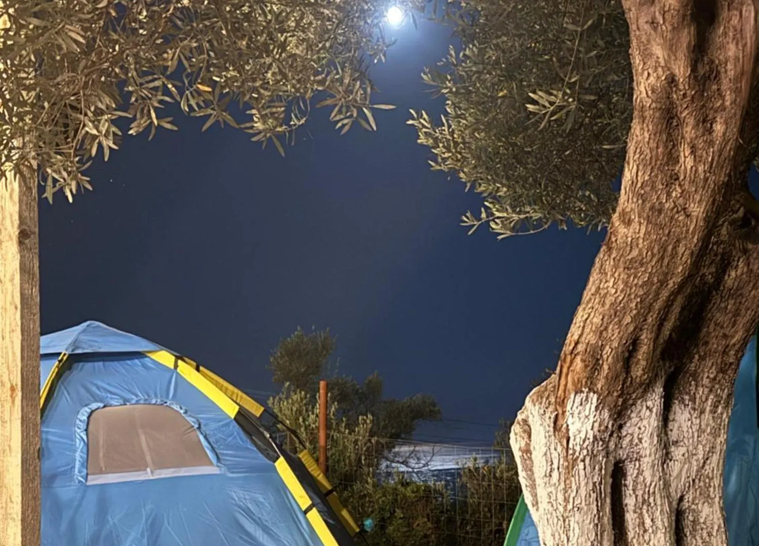 Oasis Camping Dhërmi 0*,